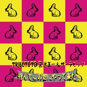 宮沢正一トリビュートにECD、割礼、インキャパ、ミチロウら