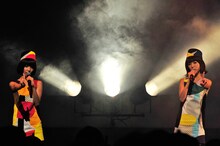 バニラビーンズ