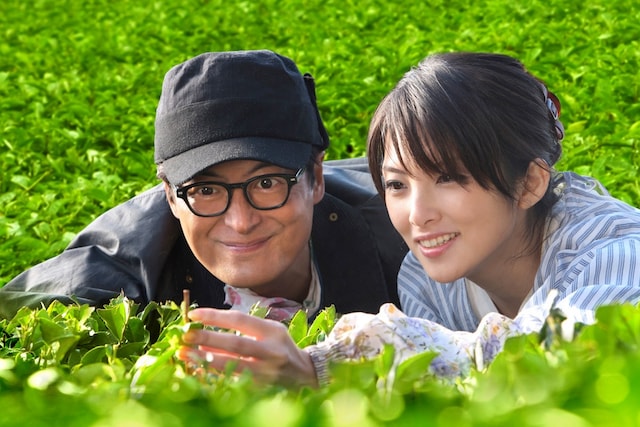 映画「種まく旅人～みのりの茶～」メインビジュアル (C)「種まく旅人～みのりの茶～」製作委員会