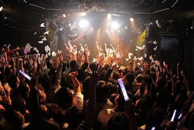 写真は昨日のライブの様子。会場内をティッシュが舞う異様な光景が広がった。