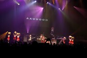 ライブ前半に披露された「A A U U O O O」の様子。the telephones、チアガール、お坊さんという異色のコラボレーションが実現。（撮影：河本悠貴）