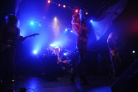 女王蜂（Photo by Ohagi）