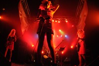 女王蜂（Photo by Ohagi）