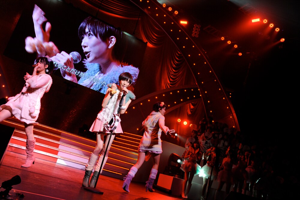 diving ファッション 大島 赤白