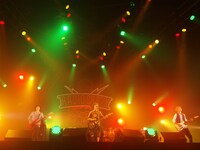 NICO Touches the Walls（29日）