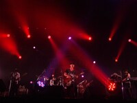 サカナクション（30日）