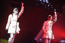 「AKB48紅白対抗歌合戦」の様子。