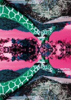 アルバム「Fly Electric」のジャケット（写真）はトールケース仕様。