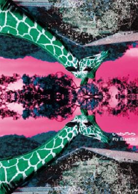 アルバム「Fly Electric」のジャケット（写真）はトールケース仕様。