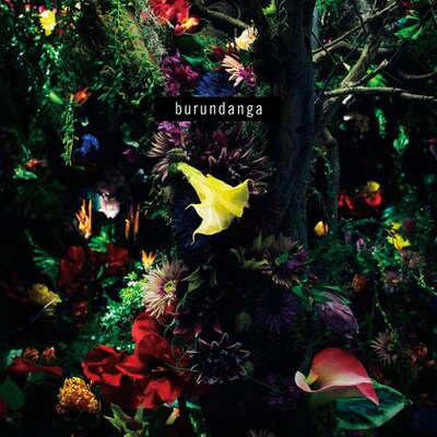 写真は本日1月11日リリースのニューアルバム「burundanga」ジャケット。