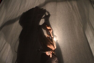 紗幕に囲まれパフォーマンスをする京（Vo）。（撮影：尾形隆夫）