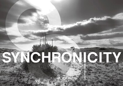 「SYNCHRONICITY'12」フライヤー