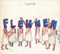 アルバム「FLEHMEN」ジャケット