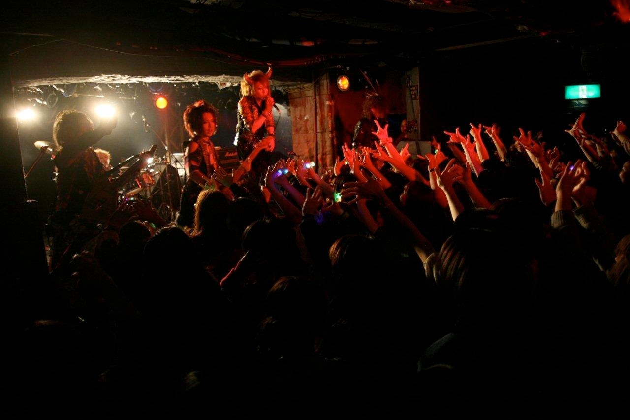 カメレオ（撮影：HAYATO）