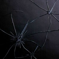 シングル「静脈」初回限定盤Bジャケット