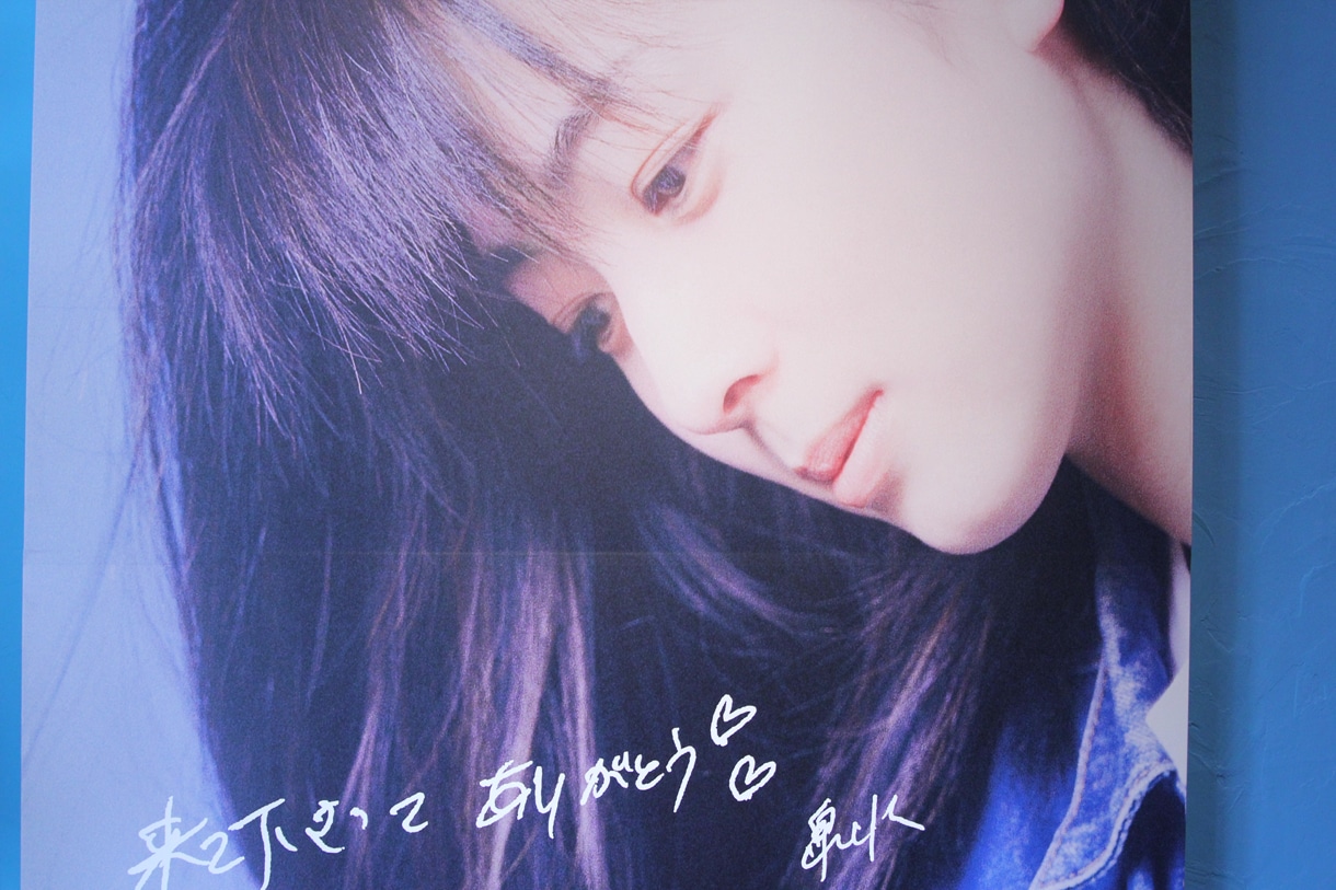 ZARD What a beautiful memory~軌跡~ パンフレット他 ZARD 「What a Rare Issue! ～軌跡～」What a beautiful memory 来場者