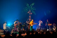 巨大なヤシの木のオブジェが「オアシス」の世界を演出。（撮影：仁礼博）