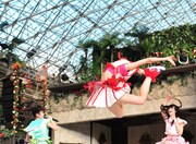 熱気に満ちたスパリゾートハワイアンズのステージで見事なえびぞりジャンプを決めた百田夏菜子。