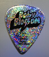 前田敦子モデルのギターピックは光を照らすとキラキラと輝くホログラム仕様。裏面には前田のサインが記されている。