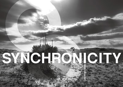 「SYNCHRONICITY'12」ロゴ