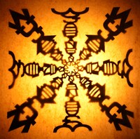 アルバム「WUJA BIN BIN」ジャケット