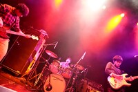 赤い猫（撮影：西槇太一）