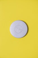 アルバム「DESINTEGRATION」パッケージ