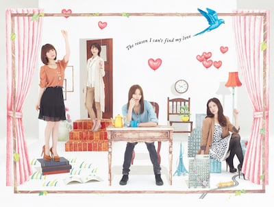 DVDボックス「私が恋愛できない理由」ジャケット（発売元:フジテレビジョン / 税込価格：23940 / (C)2012 フジテレビ）