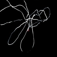 狐狗狸絵画（こっくりさんドローイング）によって完成した「Universal Emperors」のジャケット。