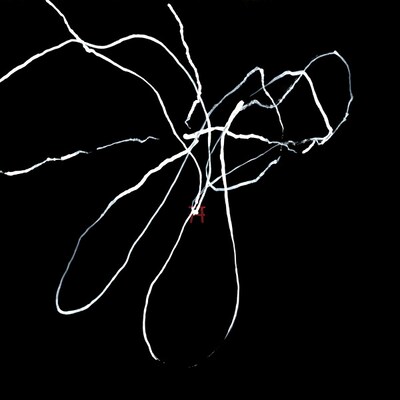 狐狗狸絵画（こっくりさんドローイング）によって完成した「Universal Emperors」のジャケット。