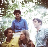 THE VACCINES
