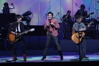 郷ひろみ×ゆず「花とみつばち」の模様。