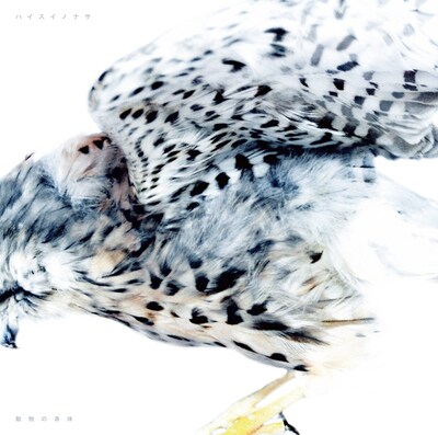 アルバム「動物の身体」ジャケット