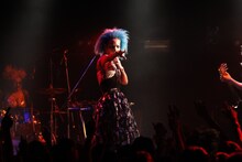 女王蜂（Photo by 五十嵐絢也）