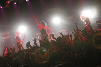 女王蜂（Photo by 五十嵐絢也）