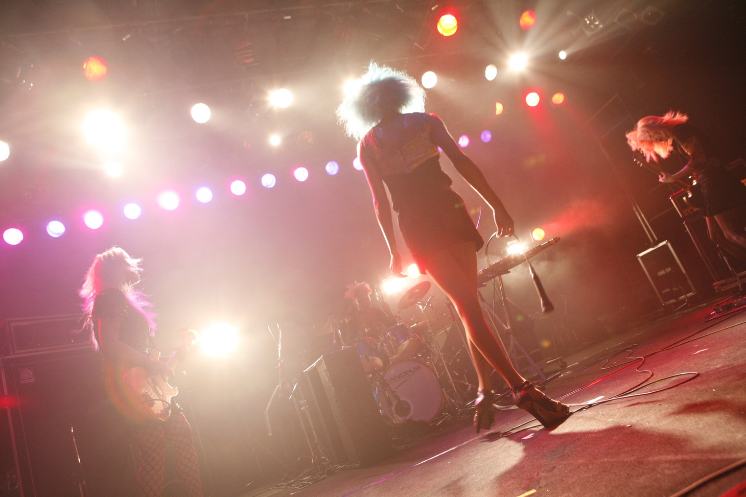 女王蜂（Photo by 五十嵐絢也）
