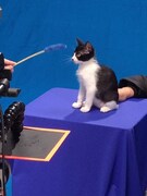 ビデオクリップ撮影の様子。