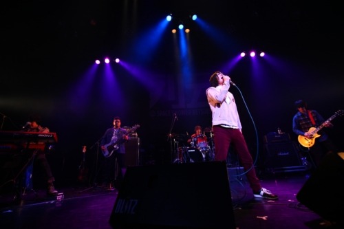 OverTheDogs