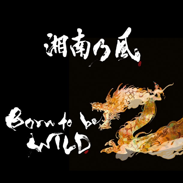 湘南乃風「Born to be WILD」ジャケット