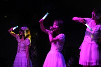 本編ラストの「Falling Stars」では、ねぎをイメージさせるペンライトで会場が緑に染まった。