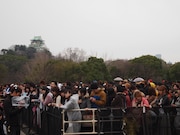 写真はフリーライブの模様。