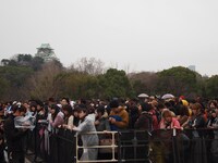 写真はフリーライブの模様。