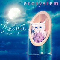 「月夜のnet」ジャケット