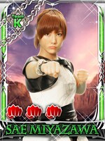 「AKB48 ステージファイター」限定カード 宮澤佐江バージョン