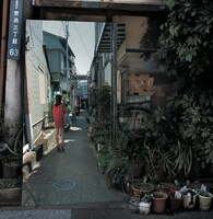 下町感が漂うアルバム「Gris Gris」のジャケット。