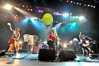 写真は3月23日に行われたBIGMAMAのTOKYO DOME CITY HALL公演の様子。