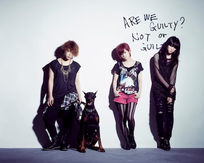 ステレオポニー