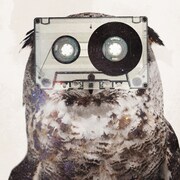 Small Circle of Friends別名義STUDIO75が新作発表