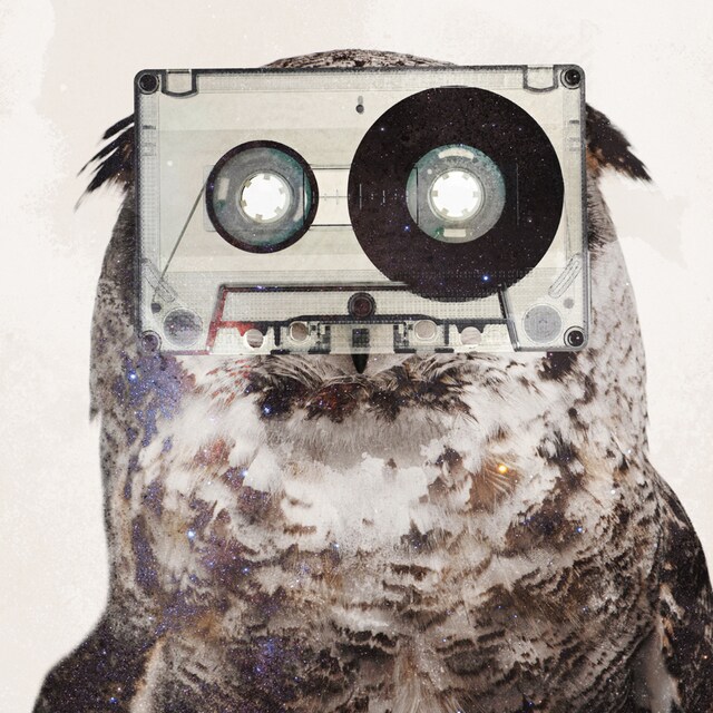 アルバム「Land Of Eardrum」ジャケット