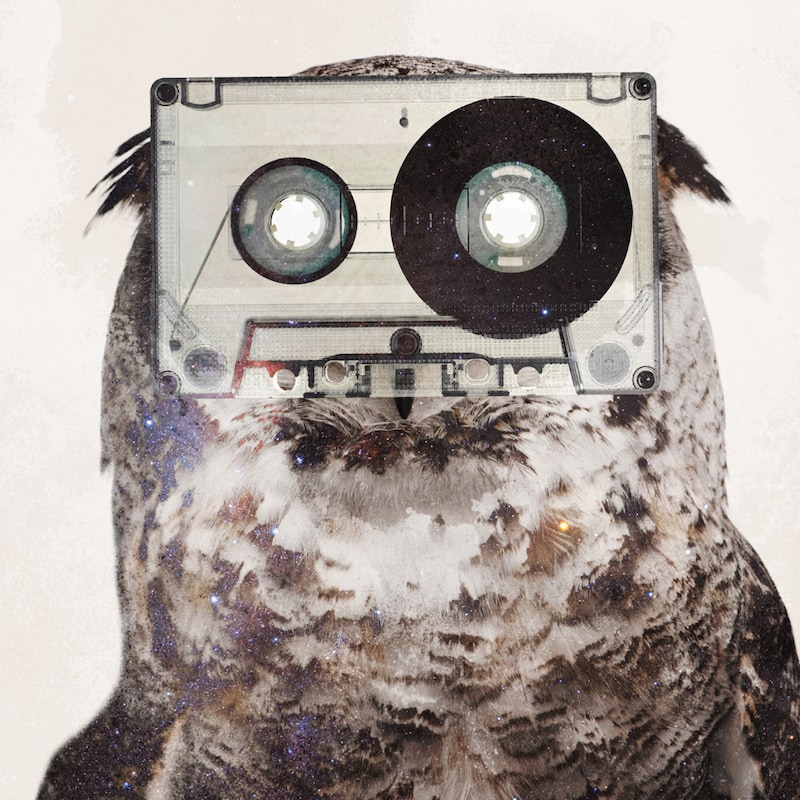 アルバム「Land Of Eardrum」ジャケット